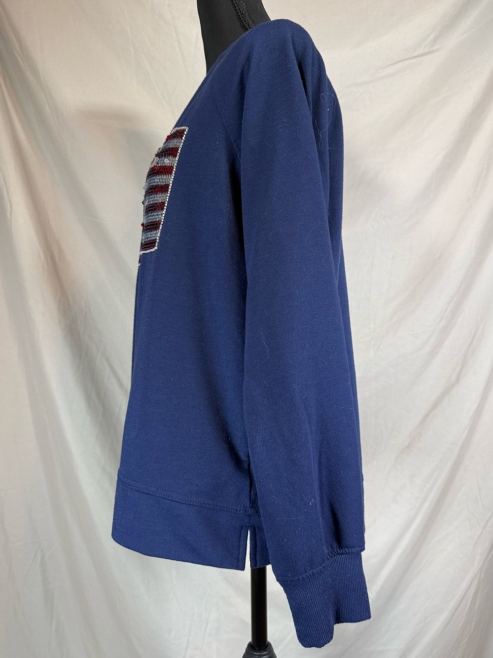 Anthropologie Philosophy Republic Clothing Patriotic Crewneck 🇺🇸✨ - Picture 4 of 6